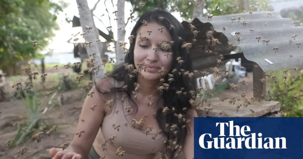 Amazon Stingless Bees Earn Landmark Legal Protection