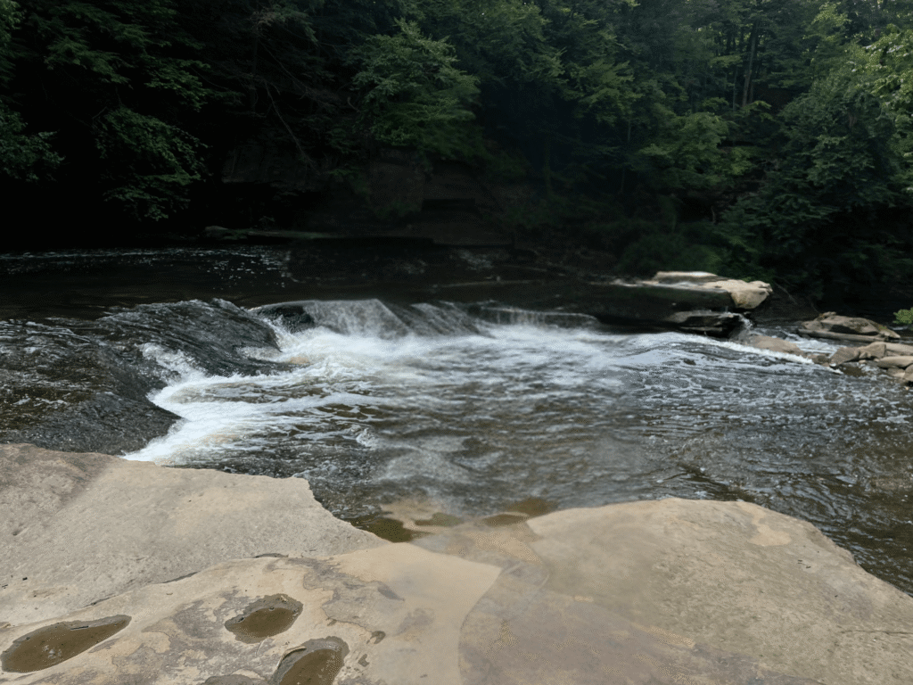 Ohio's Wetlands and Streams at Risk: 96% Face Protection Cuts