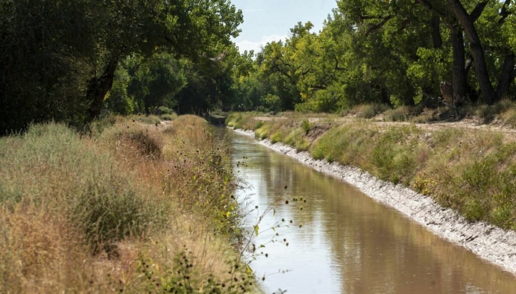 Strengthening Democracy: The Impact of Low Voter Turnout in the