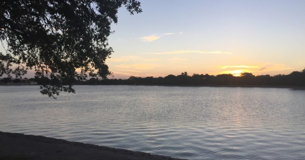 Understanding the Rio Grande Valley: Shaping Texas's Future