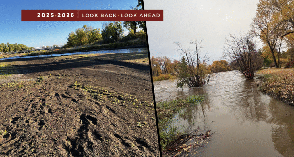 A New Normal: The Impact of Rising Temperatures on Water