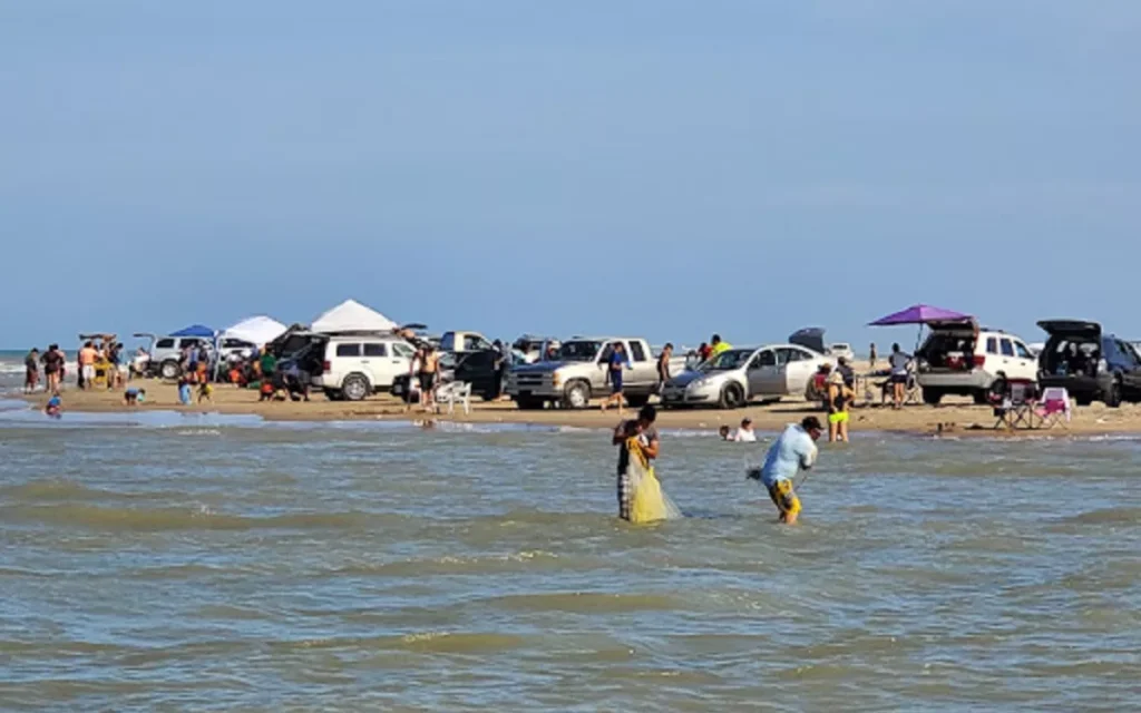 Equal Access to SpaceX for RGV's Spanish Speaking Community