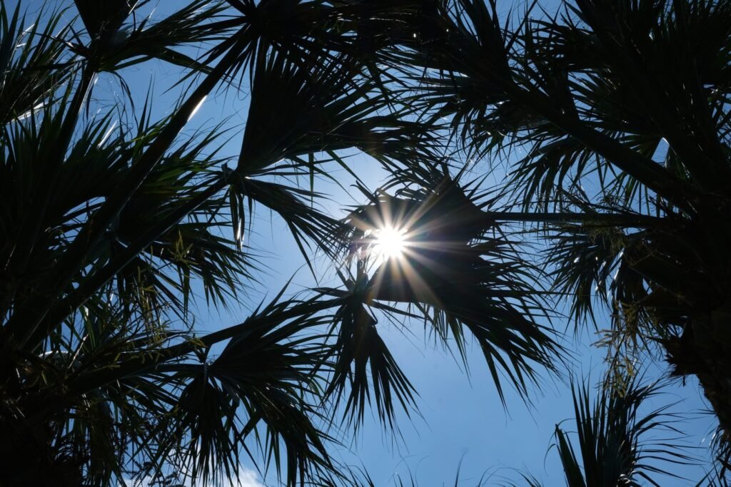 From Valley to Serenity: Embracing Warmer August Days