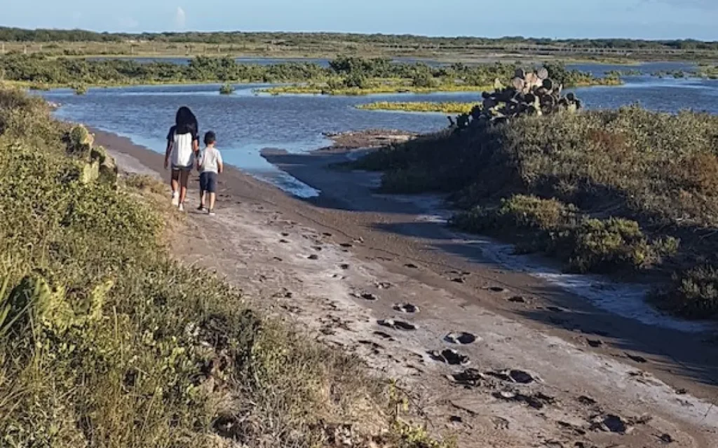 Ongoing Community Efforts to Halt LNG in the RGV