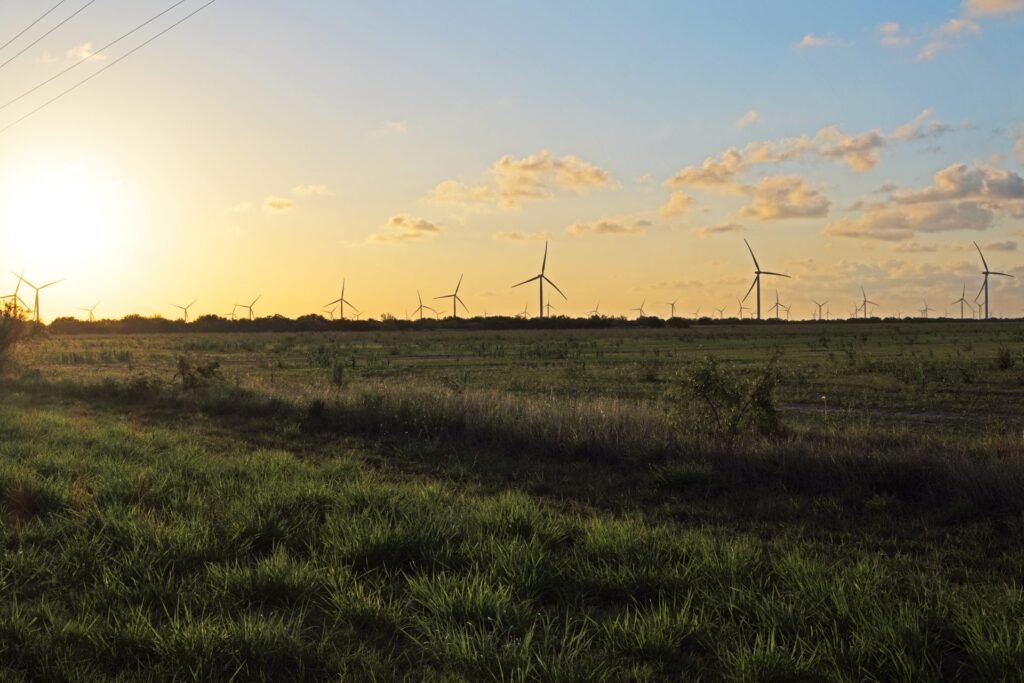 Valley Braces for Unusually Hot and Dry Weather Through March Valley Braces for Unusually Hot and Dry Weather Through March