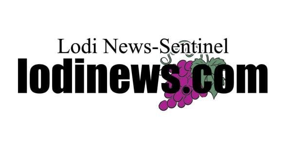 Vipers Clash with Kings: A Thrilling Showdown in Stockton Vipers Clash with Kings: A Thrilling Showdown in Stockton