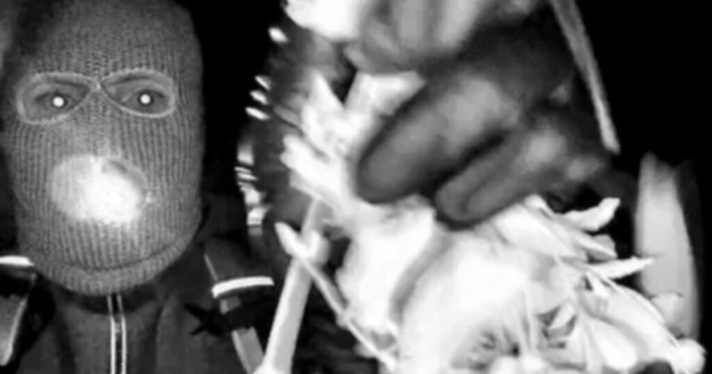 Authorities Probe Second Residence in Nancy Guthrie Kidnapping Case