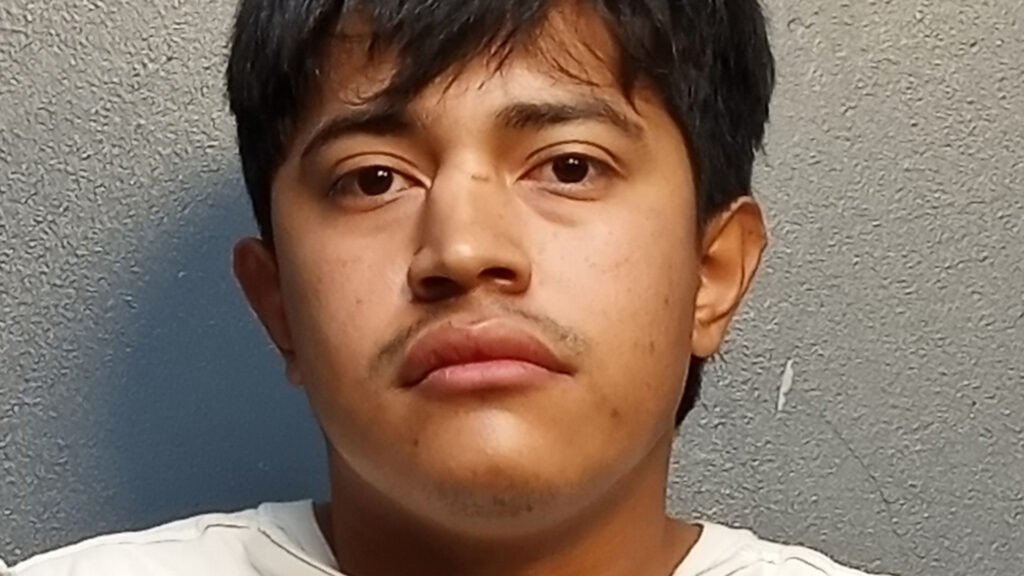 Brownsville Man Charged in Home Invasion Assault Case