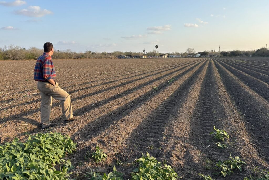 Reviving the Lush Legacy of the Rio Grande Valley
