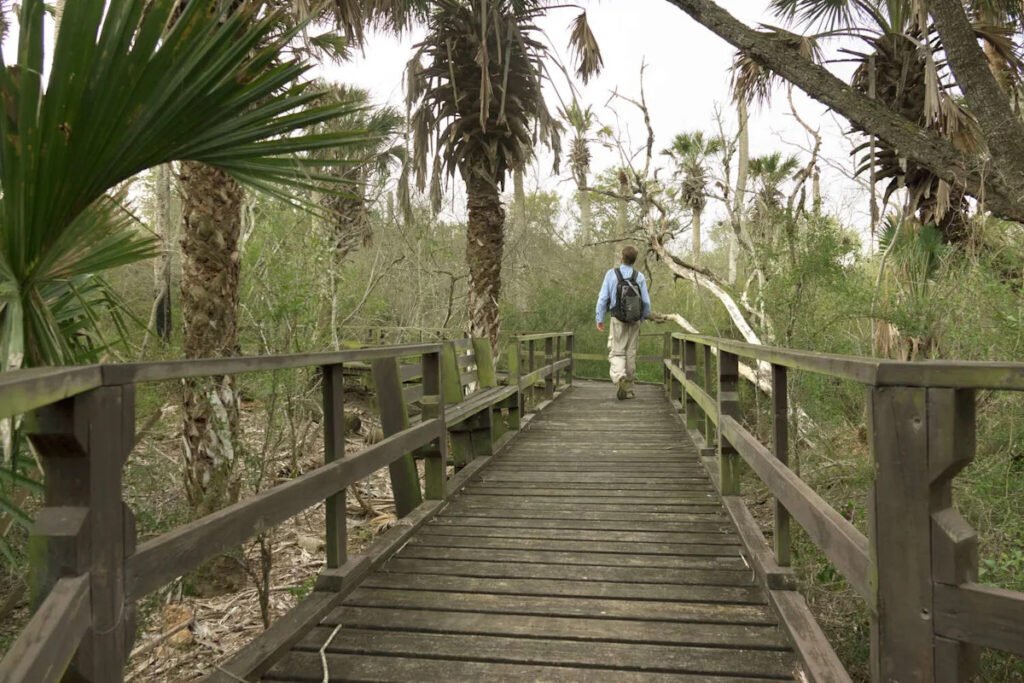 Texas City Faces Health Crisis as Unhealthiest in America