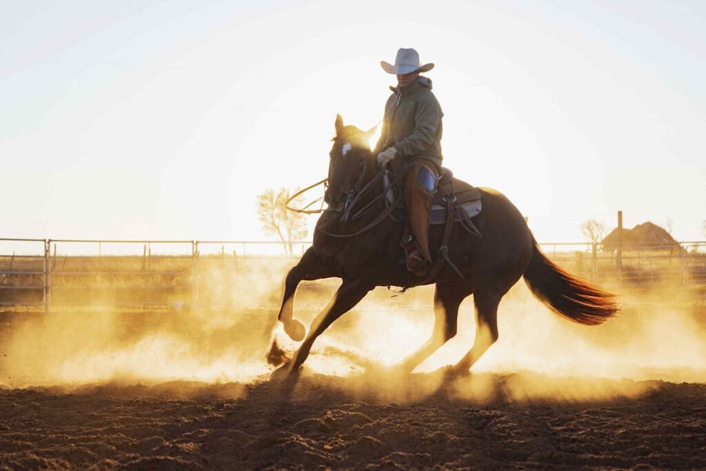 Discover the Rio Grande Valley: The Ideal Warm Weather Retirement Destination