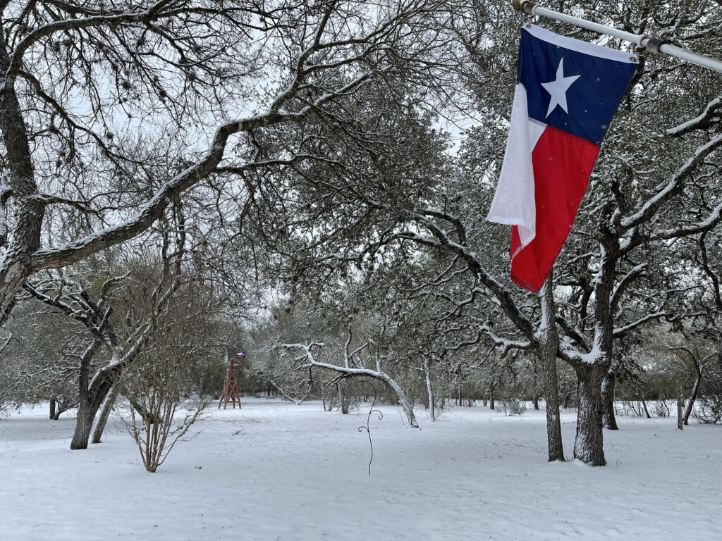 Winter Wonderland Arrives in Texas