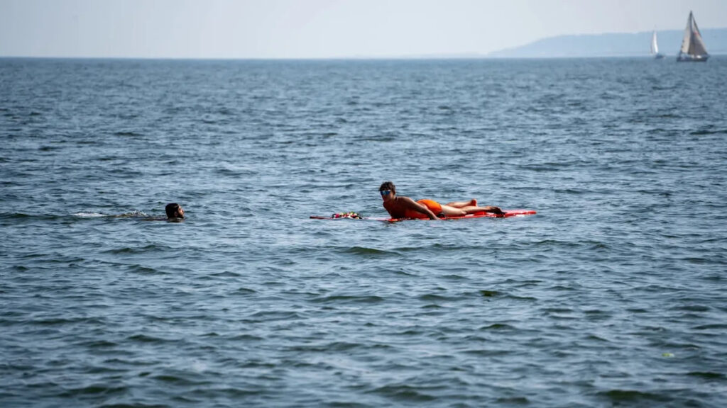 Write a new simple attractive title based on the title from Lifeguard paddles toward screaming swimmer as 11-foot shark drags her underwater off Sydney beach and dont use quote marks Write a new simple attractive title based on the title