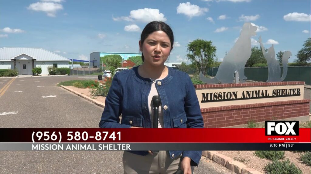 Write a new simple attractive title based on the title from Rio Grande Valley Weather: Extreme Heat Wave: Dangerous Temperatures And Excessive Heat Warnings Blanket Rio Grande Valley and dont use quote marks Write a new simple attractive title based on the title
