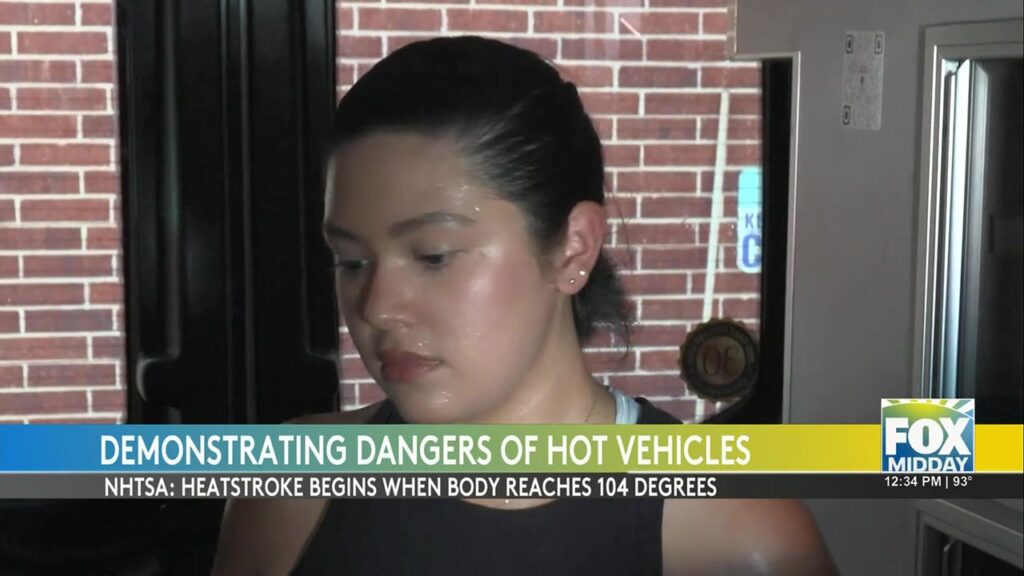 Write a new simple attractive title based on the title from Hot Car Deaths: Deadly Consequences: The Dangers Of Children In Hot Cars and dont use quote marks Write a new simple attractive title based on the title