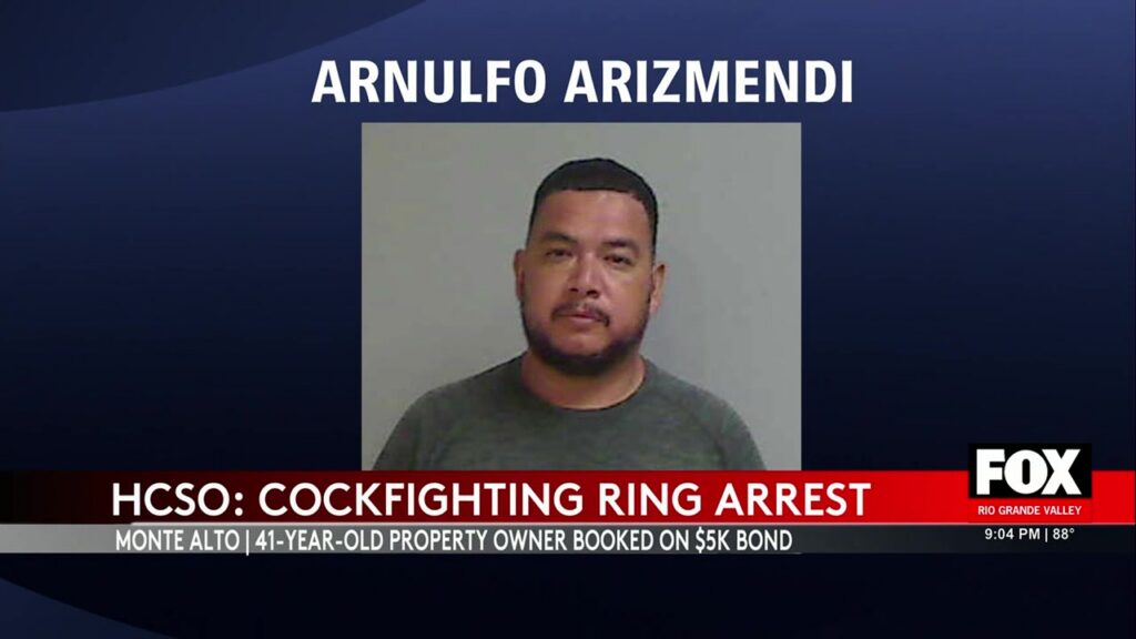 Write a new simple attractive title based on the title from Arrest Made After Alleged Cockfighting Ring Busted In Monte Alto and dont use quote marks Write a new simple attractive title based on the title