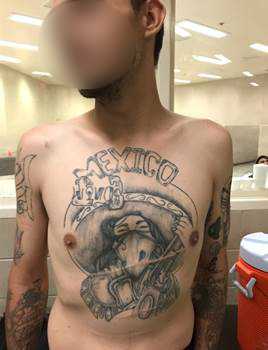 Write a new simple attractive title based on the title from Multiple MS-13 gang members arrested along the Rio Grande Valley and dont use quote marks Write a new simple attractive title based on the title