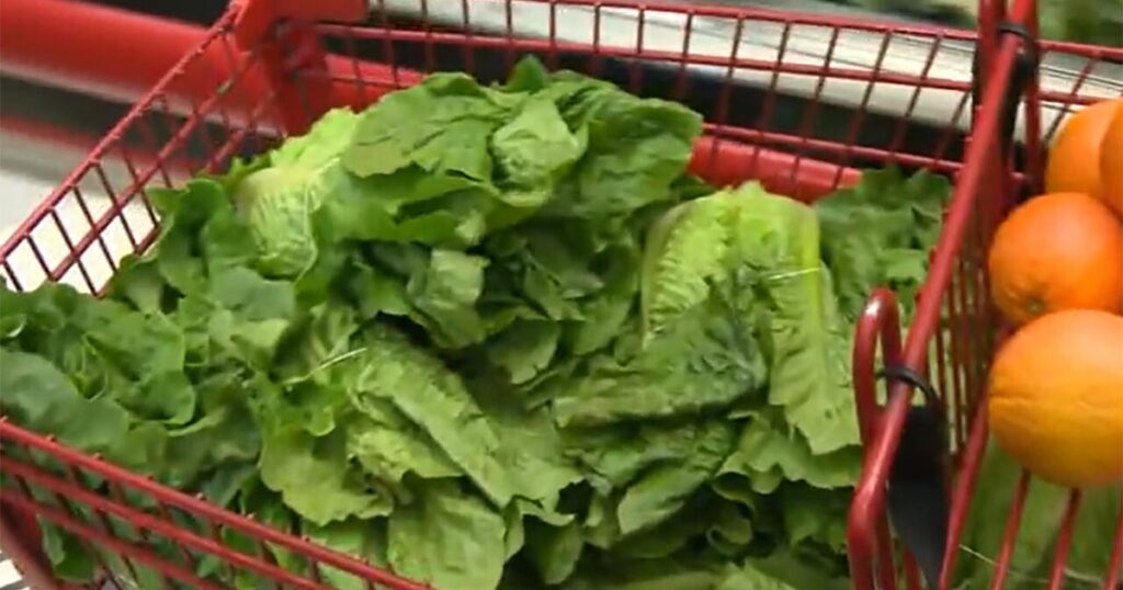 Write a new simple attractive title based on the title