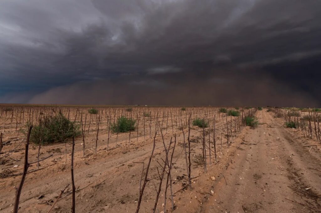 Write a new simple attractive title based on the title from How bad will drought be in Texas? Rio Grande Valley farmers are bracing for the worst. and dont use quote marks Write a new simple attractive title based on the title