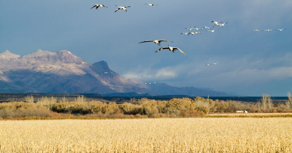 Write a new simple attractive title based on the title from USFWS Director Responds to Questions About National Wildlife Refuge ‘Reviews’ and dont use quote marks Write a new simple attractive title based on the title